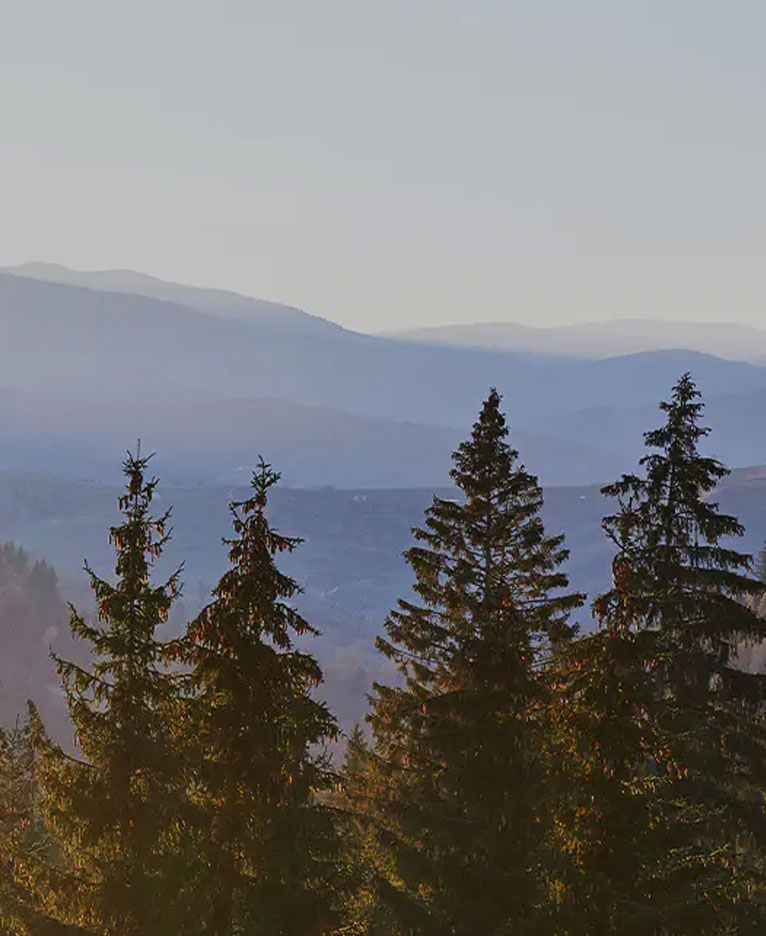 Leather Design Melamine Board